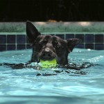 consejos para el verano