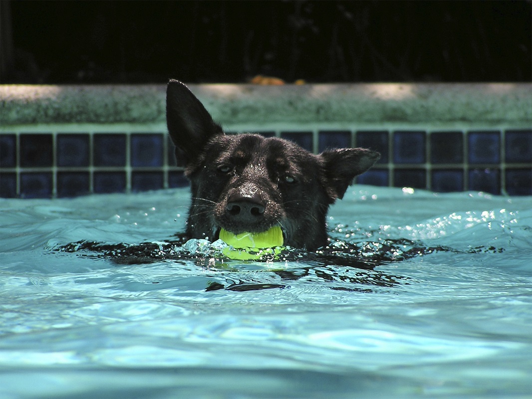 Consejos para el verano