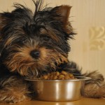 Alimentos compy Mercadona