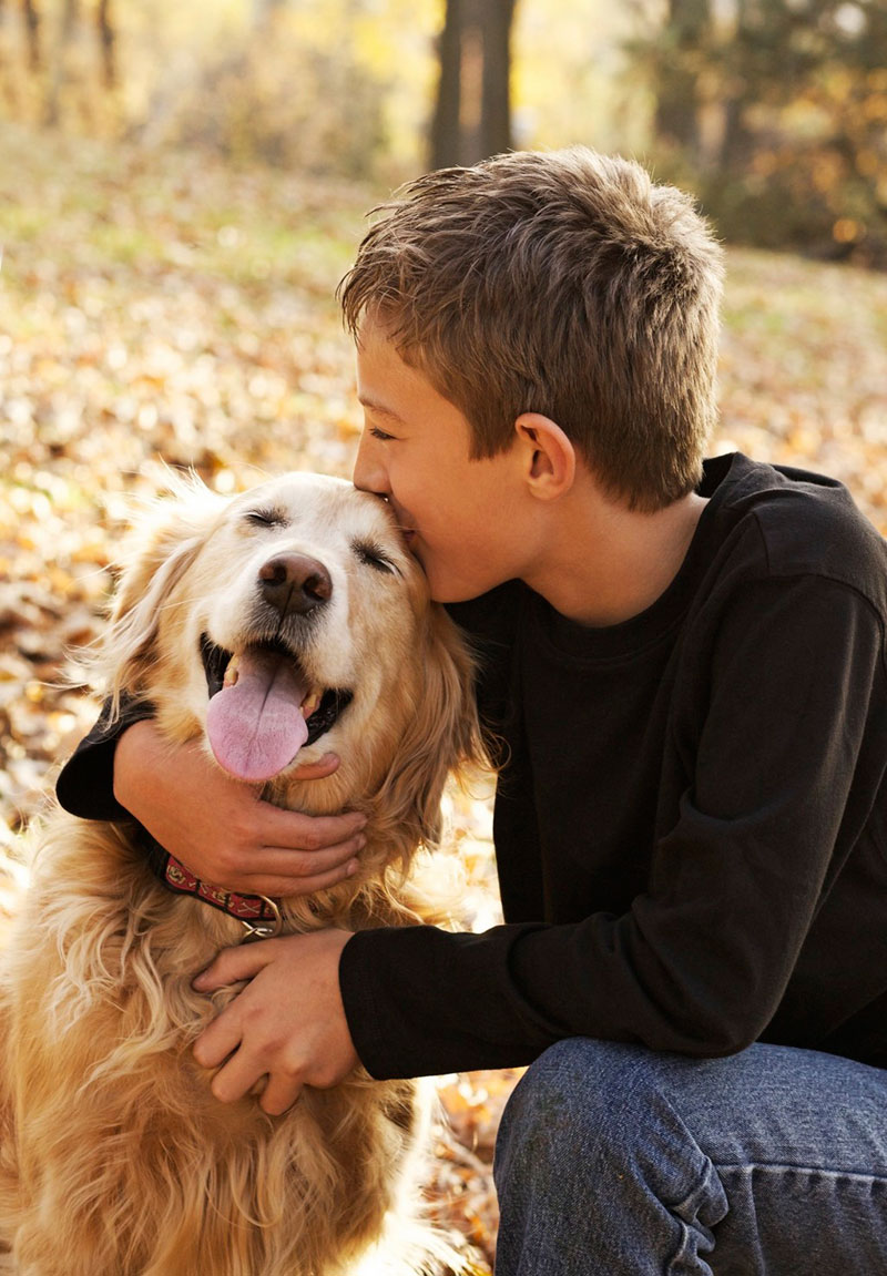 Biotina, la vitamina del pelo para perros y gatos