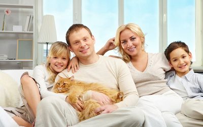 ¿Las personas con mascotas son más sociables?