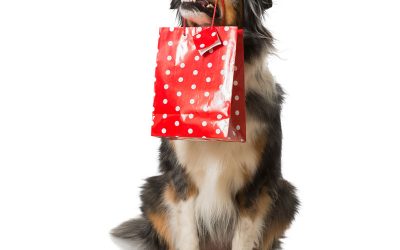 Los mejores premios y regalos para perros y gatos
