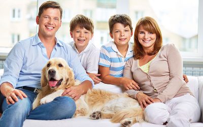 Beneficios de tener un perro o gato