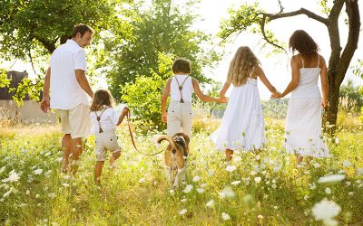 Los mejores planes para hacer con tu mascota