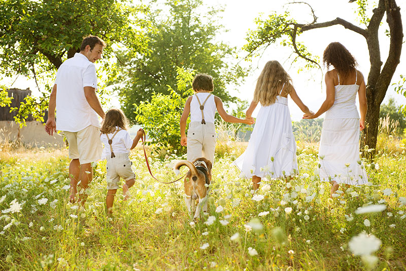 Los mejores planes para hacer con tu mascota