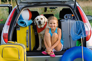 Vacaciones con perros: Hoteles, casas rurales y campings para ir con tu mascota