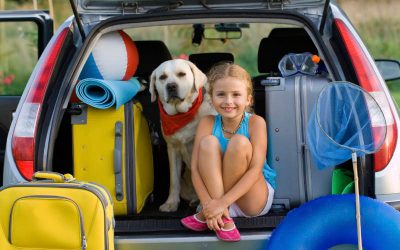 Vacaciones con perros: Hoteles, casas rurales y campings para ir con tu mascota