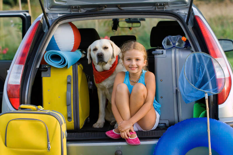 Vacaciones con perros: Hoteles, casas rurales y campings para ir con tu mascota