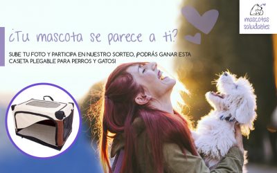 Sorteo: ¿Tu mascota se parece a ti?