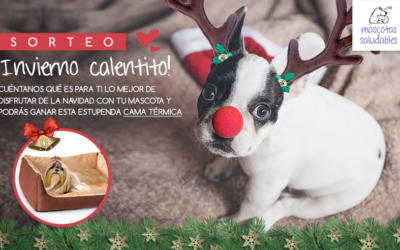 Sorteo de Navidad ¡Participa y podrás llevarte esta cama térmica para tu mascota!