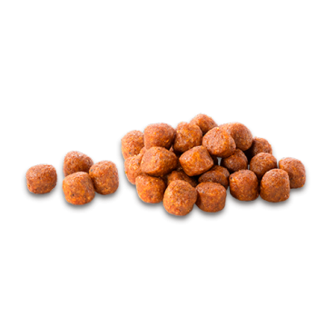 CompyPerroPollo,Ternera,Frutas,VerdRP